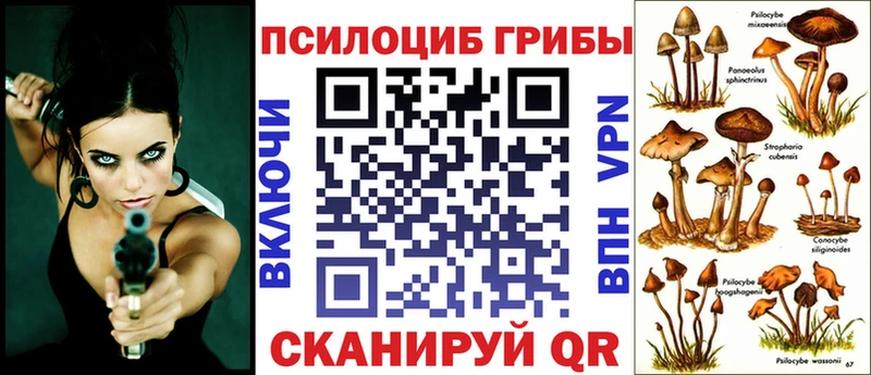 Псилоцибиновые грибы Psilocybe  Шацк 